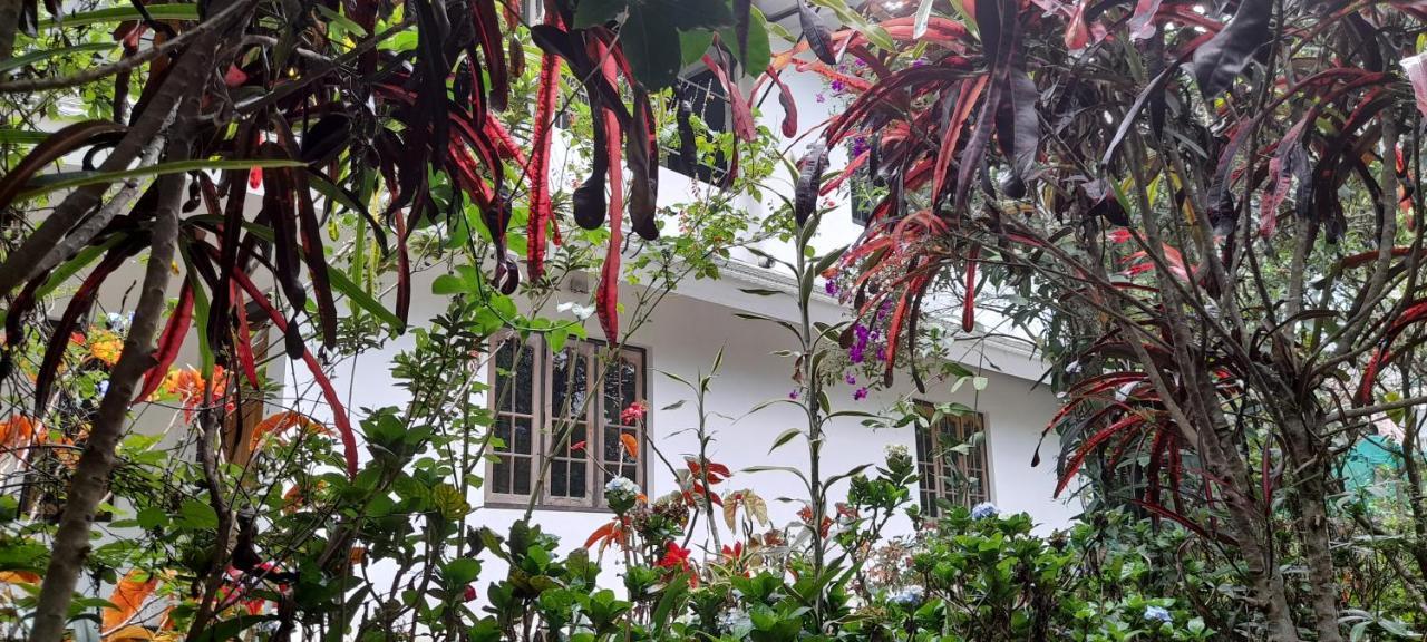 Le Farmhouse Munnar Anachal Экстерьер фото